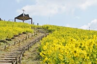 神戸総合運動公園