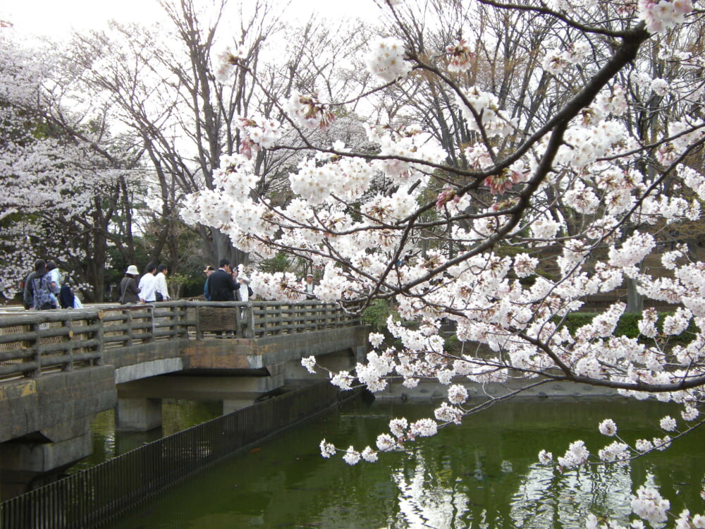 鹿沼公園の写真2