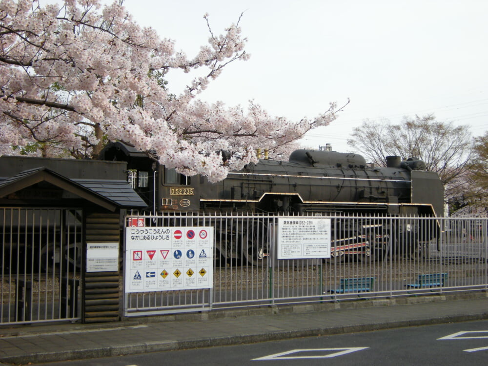 鹿沼公園の写真1