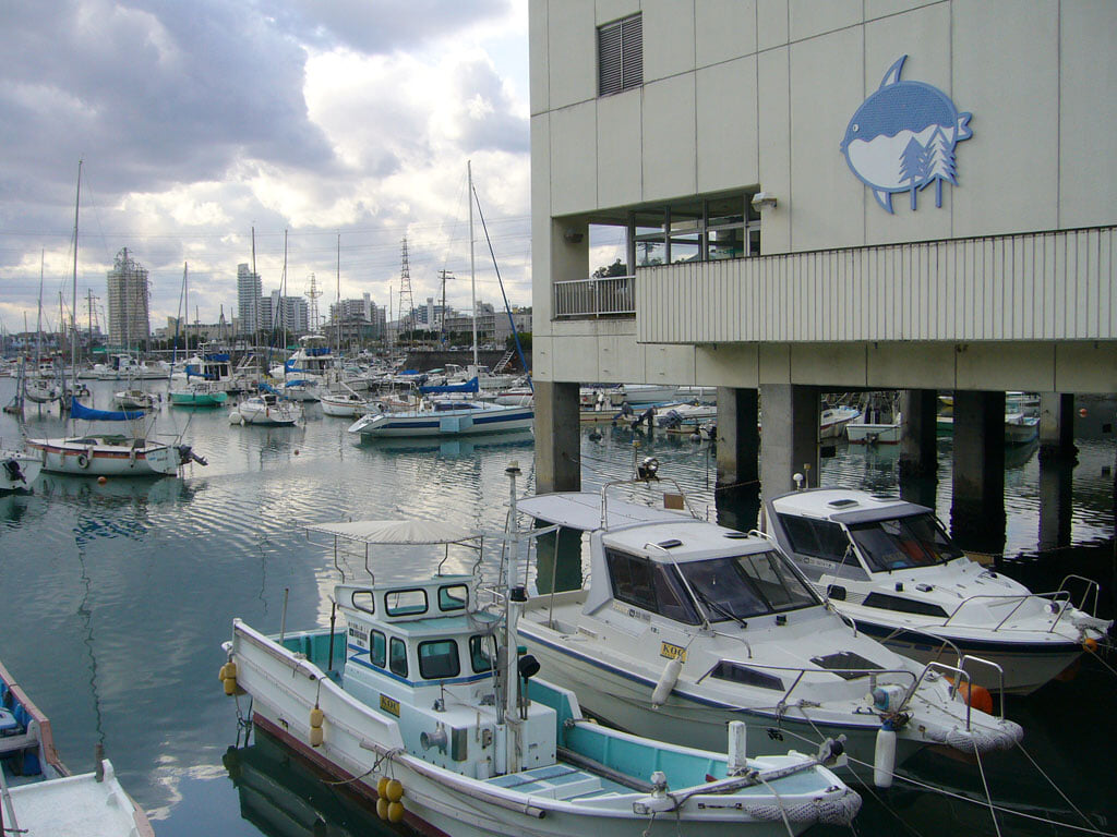 和歌山県立自然博物館の写真4