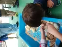 平塚市総合公園 ふれあい動物園