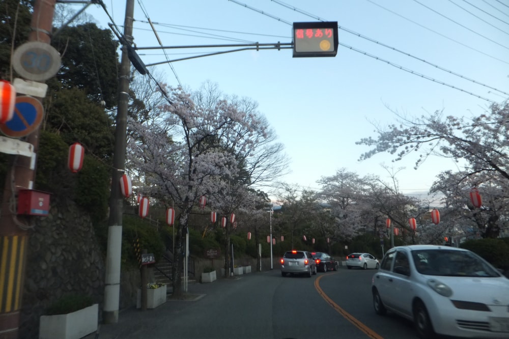 五月山公園の写真5