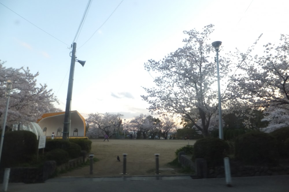 五月山公園の写真6