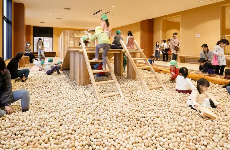木の室内創造あそび場 感性の森の写真1