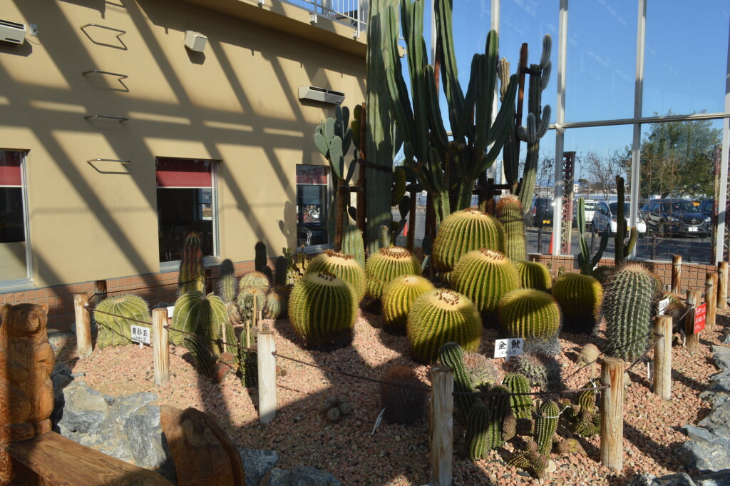 フローラルガーデンよさみの写真7