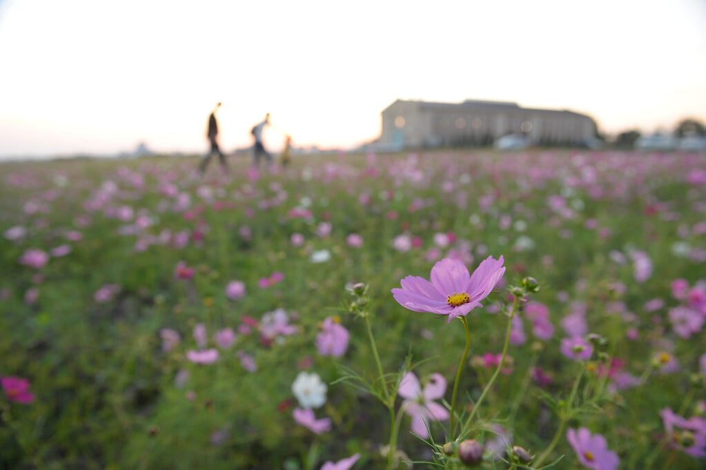 フローラルガーデンよさみの写真9