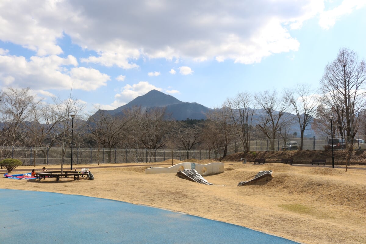 ちちぶキッズパークの写真2