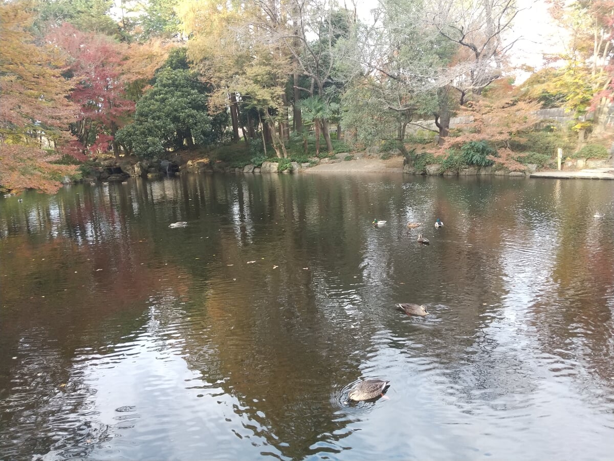 上尾丸山公園の写真2