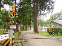 佐倉草ぶえの丘