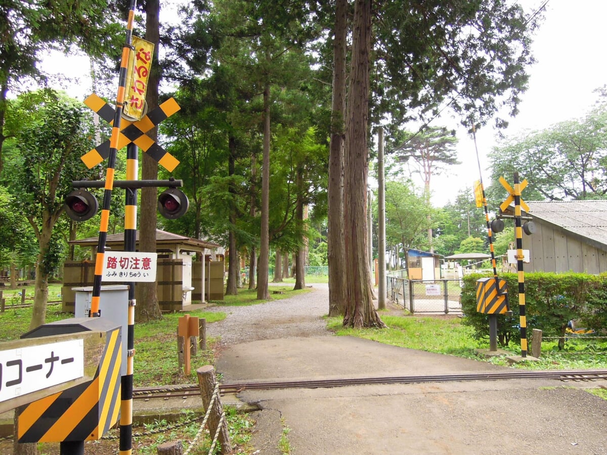 佐倉草ぶえの丘の写真1