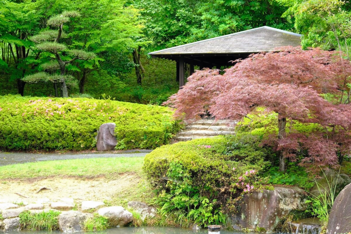 多可町余暇村公園の写真2