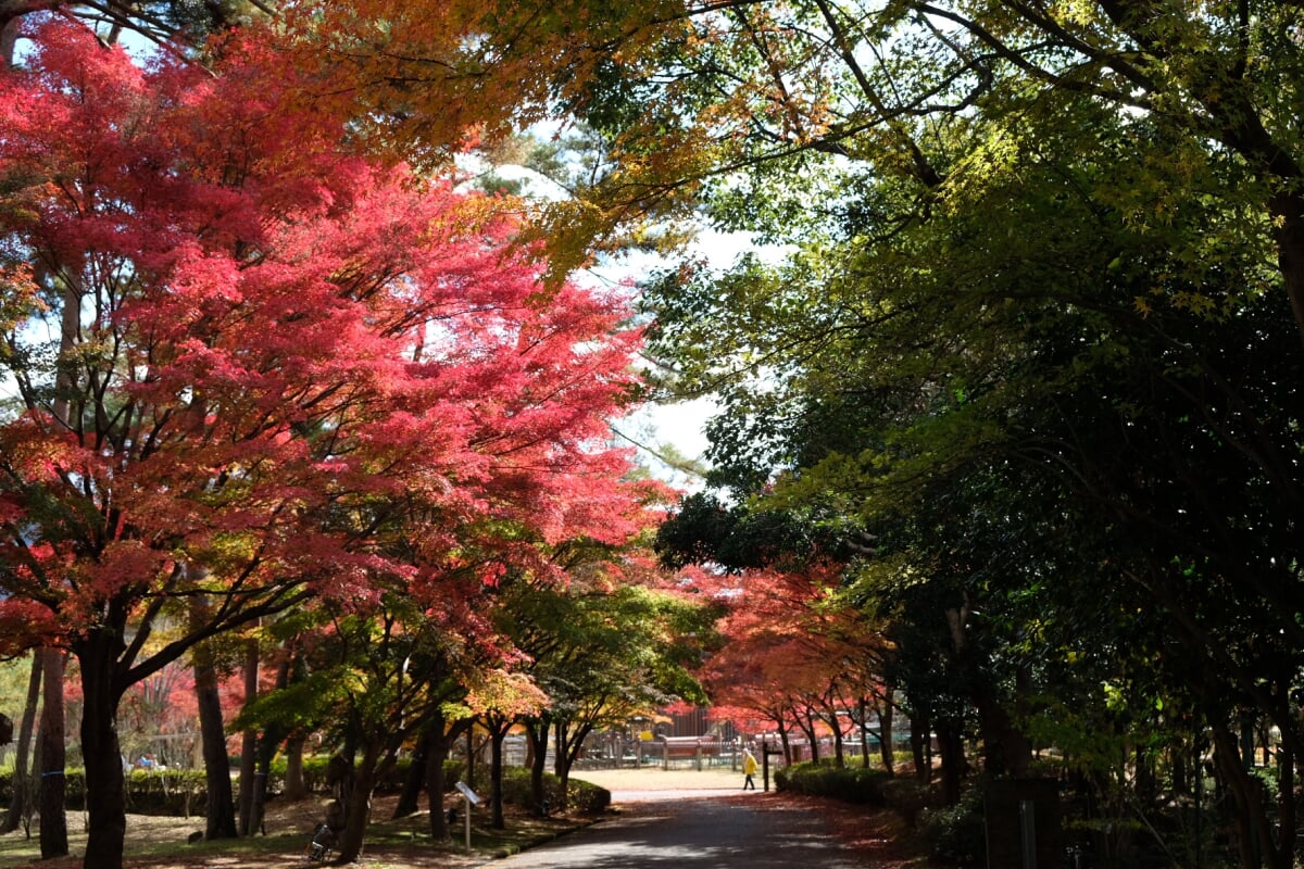 多可町余暇村公園の写真4