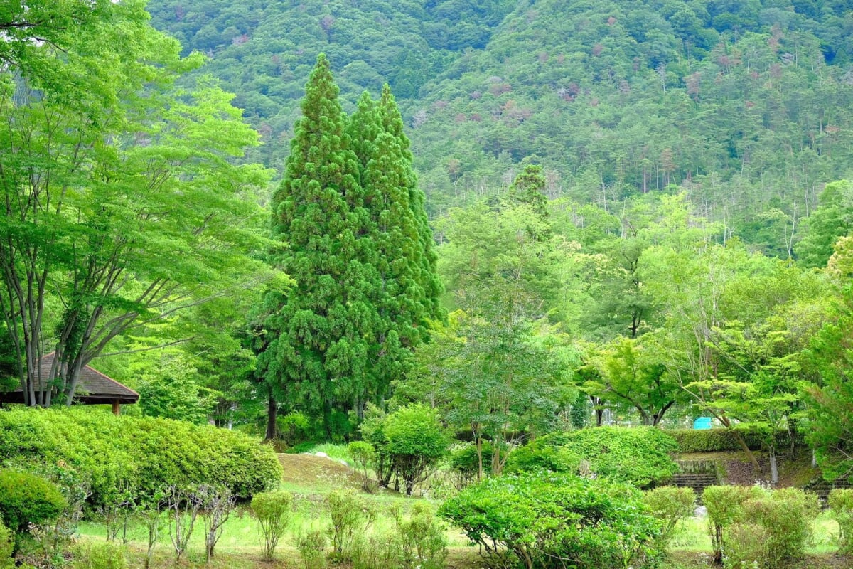 多可町余暇村公園の写真8