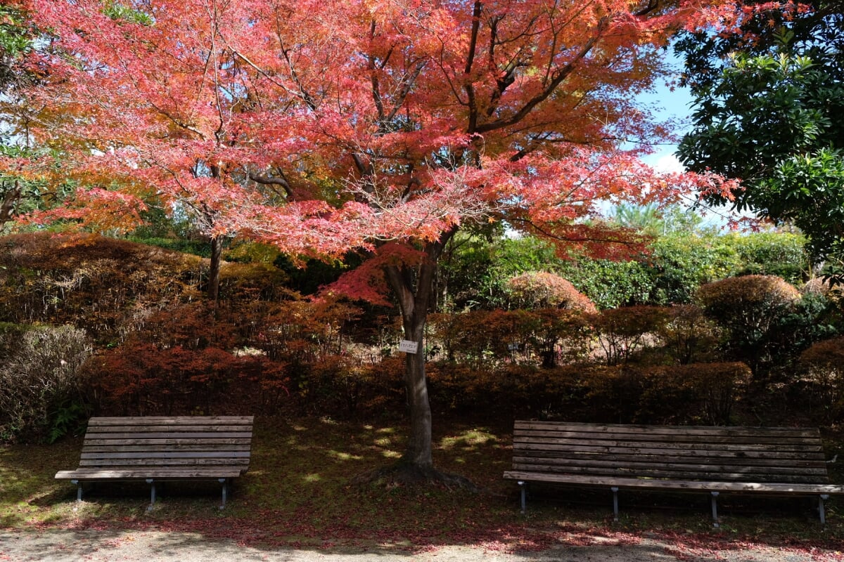 多可町余暇村公園の写真10