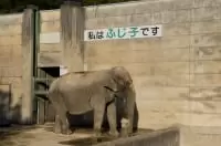 岡崎市東公園動物園