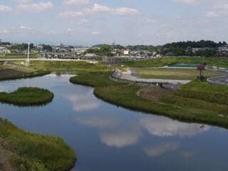 神奈川県立 境川遊水地公園の写真2