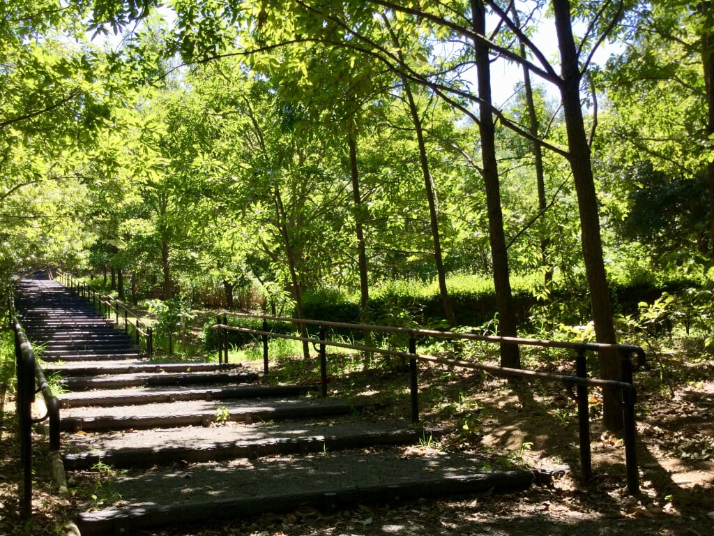 茅ケ崎里山公園の写真3