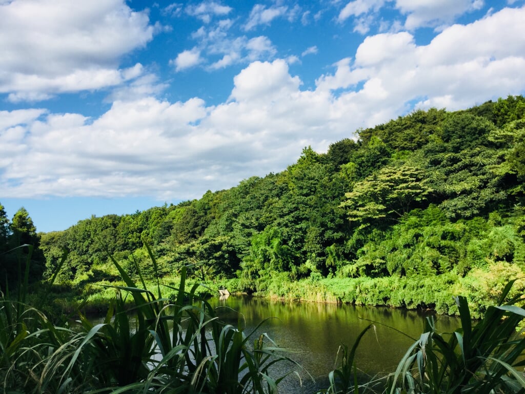 茅ケ崎里山公園の写真4