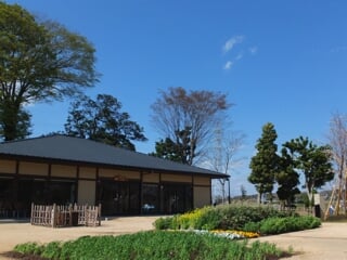 茅ケ崎里山公園の写真5