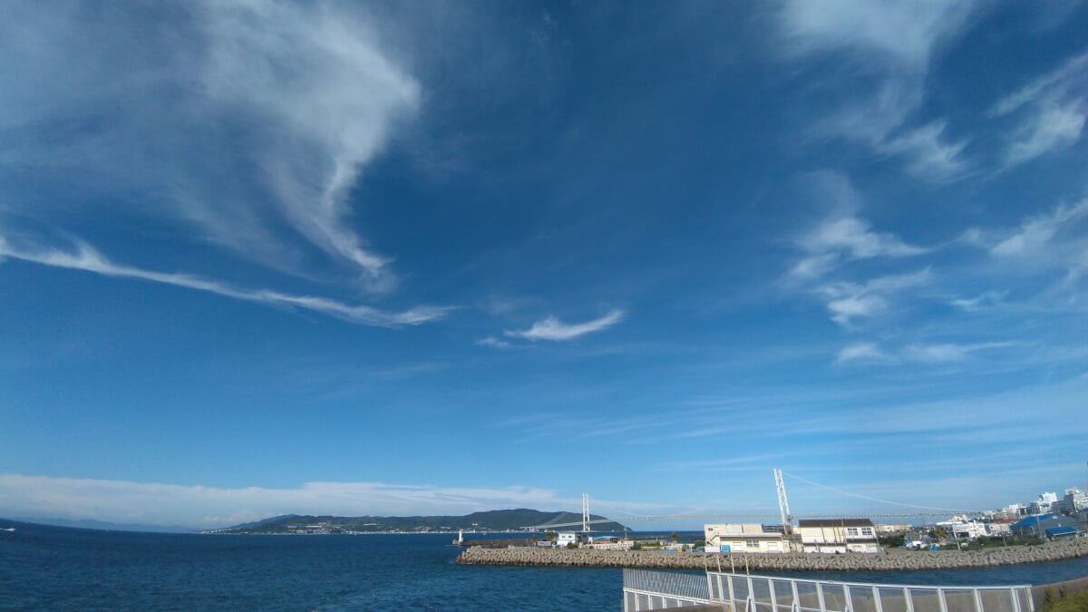 平磯海づり公園の写真1
