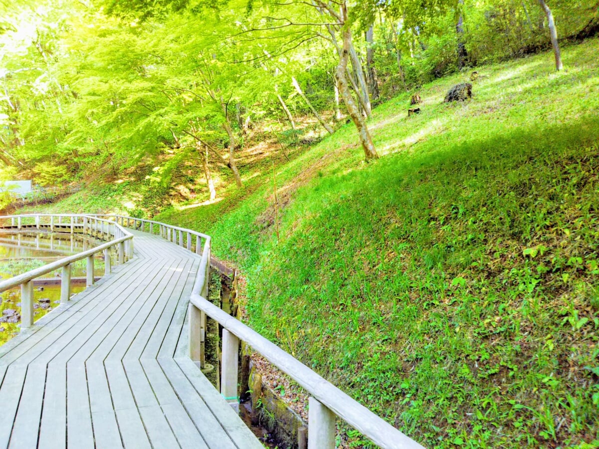 都立野山北・六道山公園の写真5