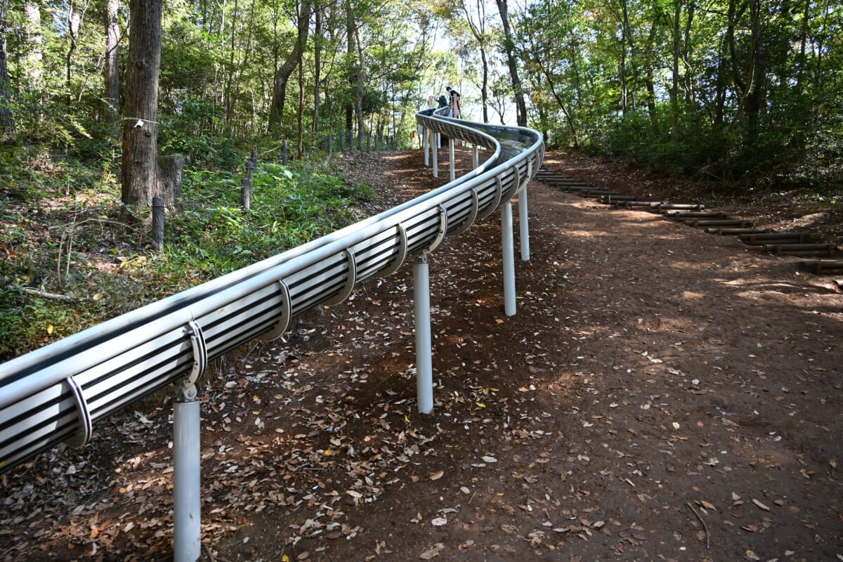 都立野山北・六道山公園の写真1