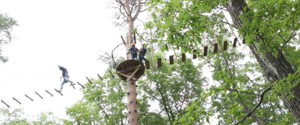 那須の森の空中アスレチック NOZARUの写真2