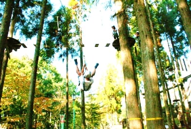 那須の森の空中アスレチック NOZARUの写真5
