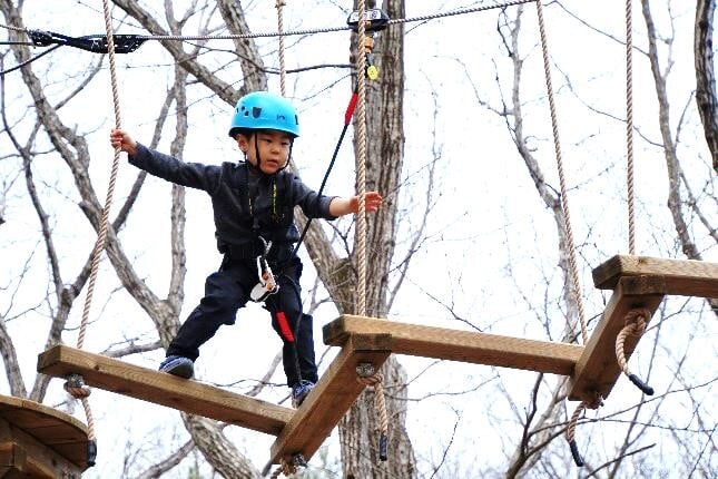 那須の森の空中アスレチック NOZARUの写真6