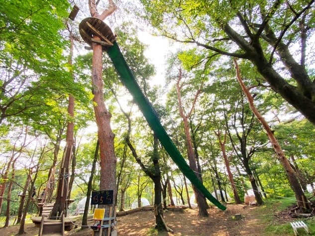 那須の森の空中アスレチック NOZARUの写真1