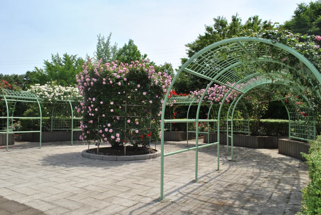 智光山公園の写真3