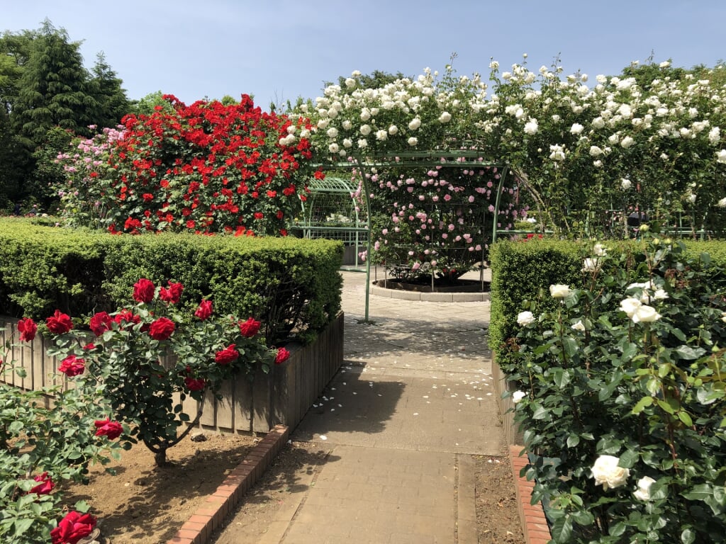 智光山公園の写真1