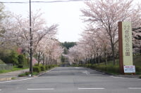 22世紀の丘公園