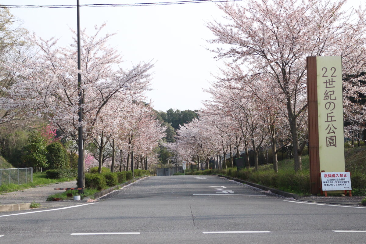 22世紀の丘公園の写真1