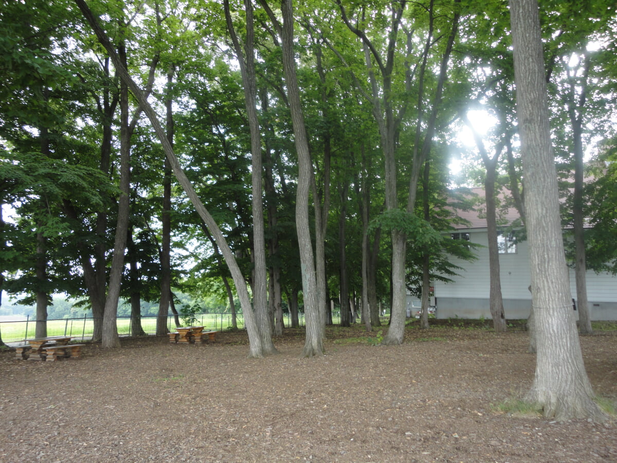 さっぽろ羊ヶ丘展望台の写真3