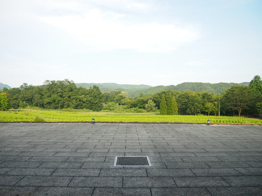 国営みちのく杜の湖畔公園の写真2