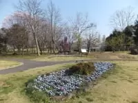 青葉の森公園