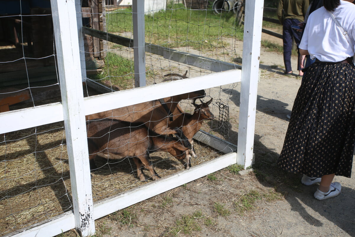 岡山農業公園　ドイツの森　クローネンベルクの写真9