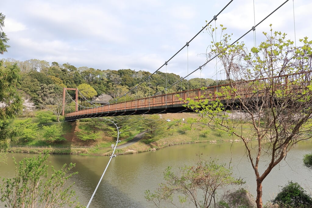 都田総合公園の写真1