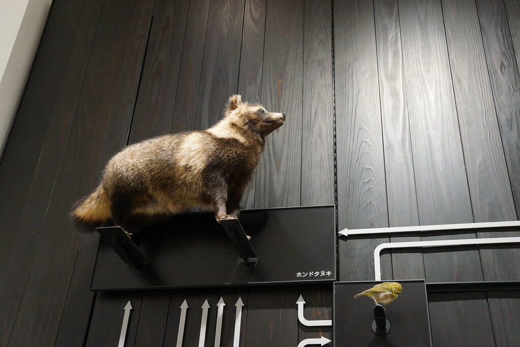 かわさき宙と緑の科学館の写真6