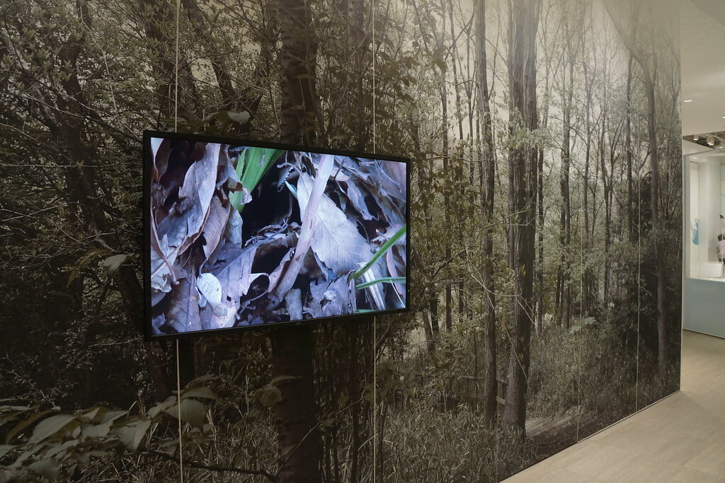 かわさき宙と緑の科学館の写真1