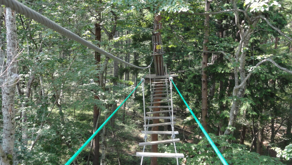 フォレストアドベンチャー・フジの写真1