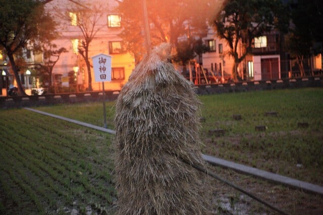 住吉大社の写真9