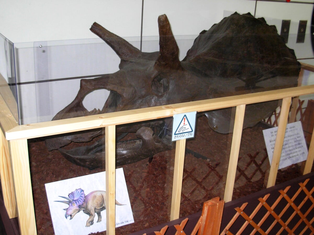 板橋区立教育科学館の写真3