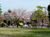 春日井市都市緑化植物園 グリーンピア春日井