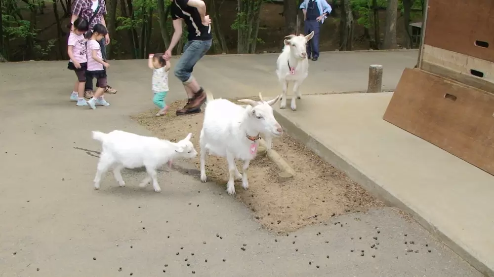 水戸市森林公園の写真1