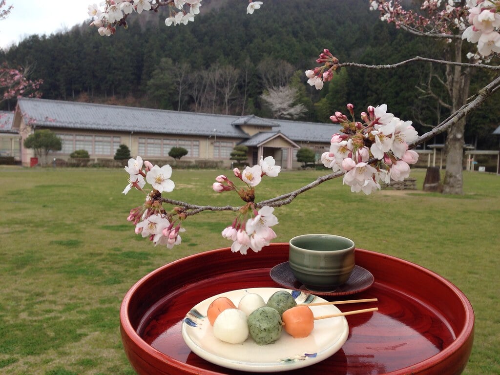 篠山チルドレンズミュージアムの写真3