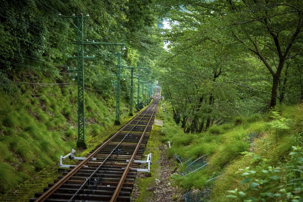 妙見の森の写真8