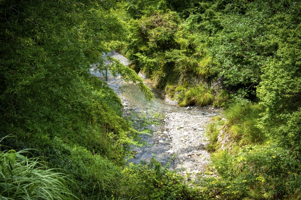 妙見の森の写真9