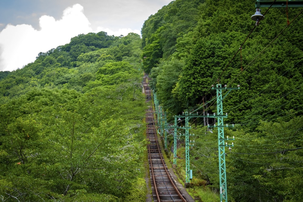 妙見の森の写真10